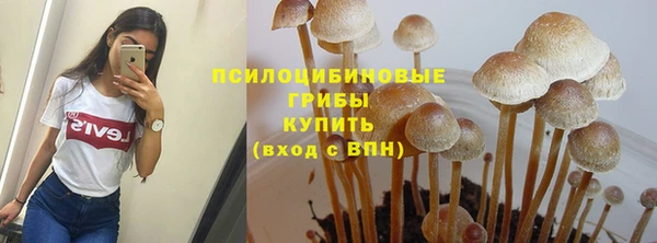 МДПВ Ладушкин