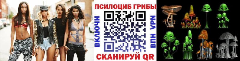 Псилоцибиновые грибы Psilocybine cubensis купить Оленегорск