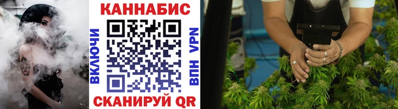 hydra как войти  как найти закладки  Оленегорск  Шишки марихуана конопля 